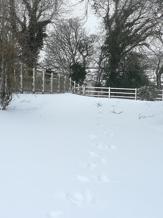 Lucker Mill House B&B 외부 사진